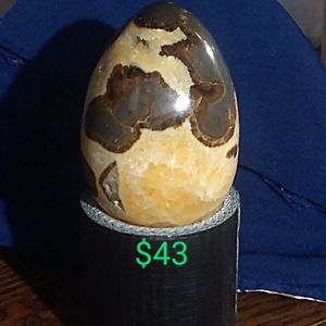 Display Egg